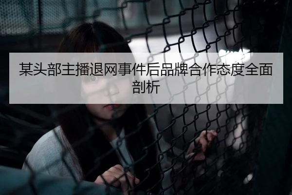 某头部主播退网事件后品牌合作态度全面剖析