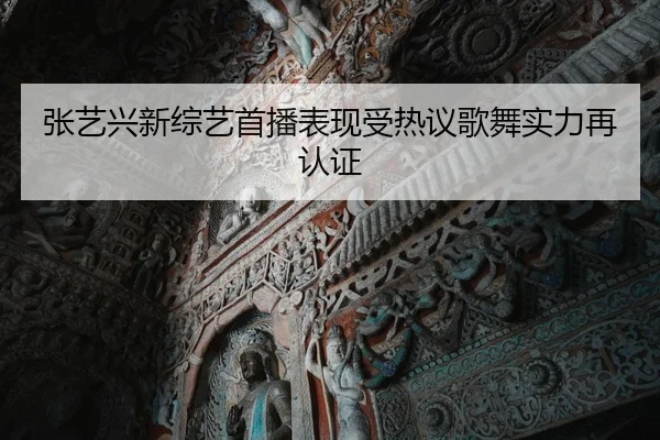 张艺兴新综艺首播表现受热议歌舞实力再认证